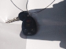 2G1WU57M991****** Salvamento 2009 Chevrolet Impala en Estado de Arkansas