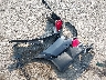 KM8SN4HF2JU****** Wrecked 2018 Hyundai Santa Fe in Illinois State