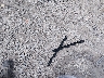 JN1EV7EL5JM****** Wrecked 2018 Infiniti Q60 in Missouri State