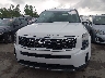 5XYP6DHC1MG****** Destrozados 2021 Kia Telluride en Estado de Ohio