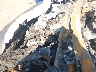5N1BT3BB7PC****** Repairable 2023 Nissan Rogue in Denver East