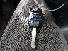 5FNRL5H99DB****** Salvage 2013 Honda Odyssey in North Carolina State