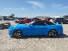 1FATP8UH3H5****** Repairable 2017 Ford Mustang in Texas State