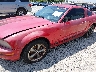 1ZVFT80N655****** Salvamento y Reparables 2005 Ford Mustang en Estado de Kentucky