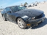 1ZVBP8AM8C5****** Salvamento y Destrozados 2012 Ford Mustang en North Hollywood