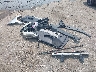 4T1BK1EBXDU****** Wrecked 2013 Toyota Avalon in Virginia State