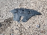 5NMJBCAE6NH****** Wrecked 2022 Hyundai Tucson in Texas State