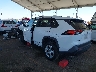 2T3LWRFV6KW****** Salvamento y Reparables 2019 Toyota RAV4 Hybrid en Fontana