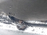 5NPE24AA7HH****** Wrecked 2017 Hyundai Sonata in California State