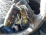 2FMTK3G98FB****** Salvamento 2015 Ford Edge en Estado de Nebraska