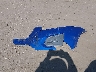 KL7CJKSB2GB****** Wrecked 2016 Chevrolet Trax in California State
