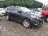 5XYPGDA3XHG****** Salvage and Wrecked 2017 Kia Sorento in Buckhannon
