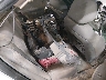 1G1ZA5EN7A4****** Destrozados 2010 Chevrolet Malibu en Boise