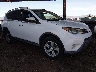 2T3WFREV2EW****** Salvamento y Destrozados 2014 Toyota RAV4 en Phoenix
