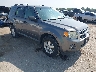 1FMCU0DG4BK****** Salvage and Wrecked 2011 Ford Escape in Fort Worth North