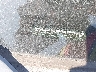 1GKEV23718J****** Salvage 2008 GMC Acadia in New York State