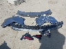 7SAYGDEE9TF****** Salvage 2026 Tesla Model Y in California State