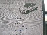 5YJYGDEE4MF****** Salvage 2021 Tesla Model Y in Los Angeles