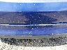 3FA6P0H76DR****** Salvamento y Reparables 2013 Ford Fusion en Estado de Carolina del Sur