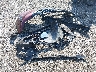 3N1AB8CV3SY****** Wrecked 2025 Nissan Sentra in New York State