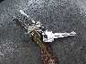 1FDYW82E6RV****** Reparables 1994 Ford N-series en Metro DC