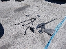 5UXCR4C02P9****** Salvage 2023 BMW X5 in California State
