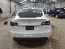 5YJYGDEE7LF****** Wrecked 2020 Tesla Model Y