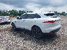 SADCN2GX2KA****** Salvage and Repairable 2019 Jaguar F-PACE in Akron Canton