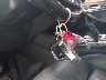 5UXTR9C53KL****** Salvage 2019 BMW X3 in New York State