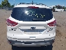 1FMCU9J94DU****** Destrozados 2013 Ford Escape