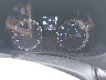 KMHCU5AE4GU****** Salvage 2016 Hyundai Accent in Cincinnati