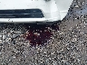 1HGFA16528L****** Wrecked 2008 Honda Civic in Georgia State