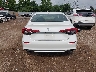 2HGFE2F51PH****** Destrozados 2023 Honda Civic