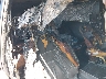 5TDYK3DC8FS****** Salvage and Repairable 2015 Toyota Sienna in Texas State