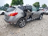 JN8AZ18W19W****** Salvage and Wrecked 2009 Nissan Murano in Pennsylvania State