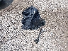 3KPFL4A81HE****** Salvage 2017 Kia Forte in Ohio State