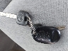 5TETX22N98Z****** Salvage 2008 Toyota Tacoma in Virginia State