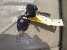 JTJBT20XX70****** Salvamento 2007 Lexus GX 470 en Estado de Nueva Jersey