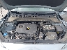 KM8K12AA8KU****** Repairable 2019 Hyundai Kona in Knoxville