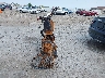 JH2MD0314DM****** Salvamento y Reparables 1983 Honda Xl250 en Estado de Wisconsin