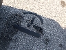 KNDPM3AC5K7****** Wrecked 2019 Kia Sportage in Iowa State