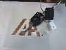 1FADP3F22DL****** Salvage 2013 Ford Focus in Florida State