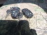 3C6UR5GL8EG****** Salvage 2014 RAM 2500 in Texas State