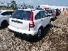 JHLRE48367C****** Salvamento y Destrozados 2007 Honda CR-V en Estado de Illinois
