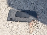 KL79MVSL9RB****** Wrecked 2024 Chevrolet Trailblazer in Kansas State