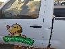 5TFNX4CNXEX****** Reparables 2014 Toyota Tacoma en Estado de Texas