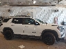 3GKALUEGXTL****** Usados 2026 GMC Terrain en Estado de Michigan
