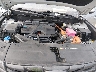 KM8JBCA11PU****** Reparables 2023 Hyundai Tucson Hybrid en Savannah