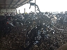 1HD1FR4168Y****** Used and Repairable 2008 Harley-Davidson Road King Classic in Tennessee State