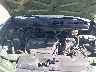 5J6YH28738L****** Repairable 2008 Honda Element in Western Colorado